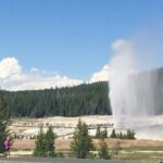 Salt Lake City to Yellowstone and Mt Rushmore 4 Day Tour - What Does This Tour Offer in Value?
