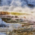 Salt Lake City: Yellowstone National Park 6-Day Tour - What Travelers Say and Why It Matters
