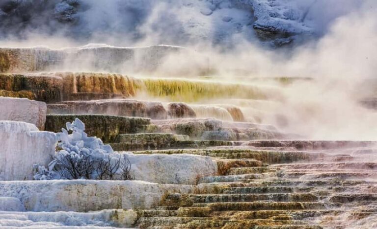 Salt Lake City: Yellowstone National Park 6-Day Tour - What Travelers Say and Why It Matters