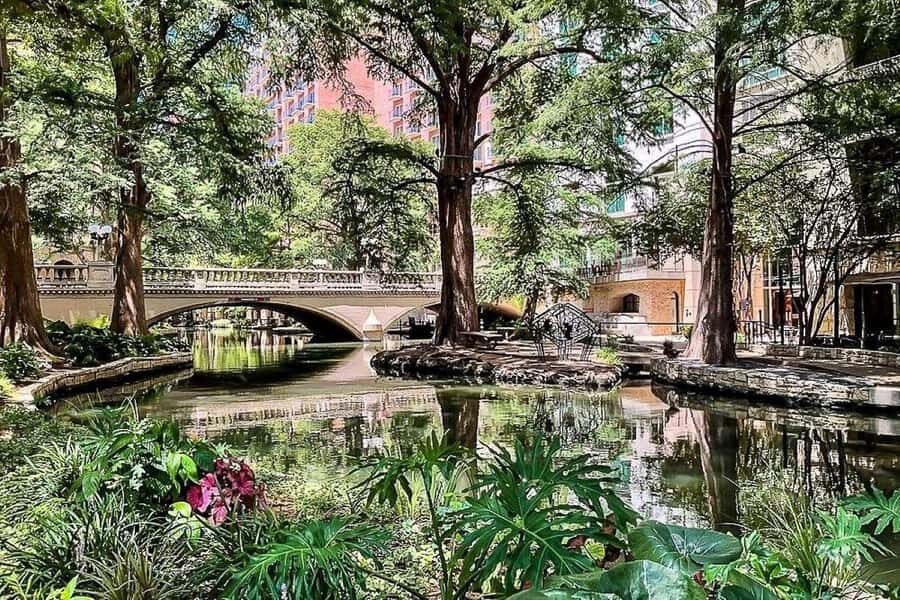 San Antonio: Alamo, River & Cathedral Legends Walk - The Vibrant River Walk and Sacred Sites
