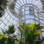 San Antonio: Botanical Garden Admission Ticket - What to Expect During Your Visit