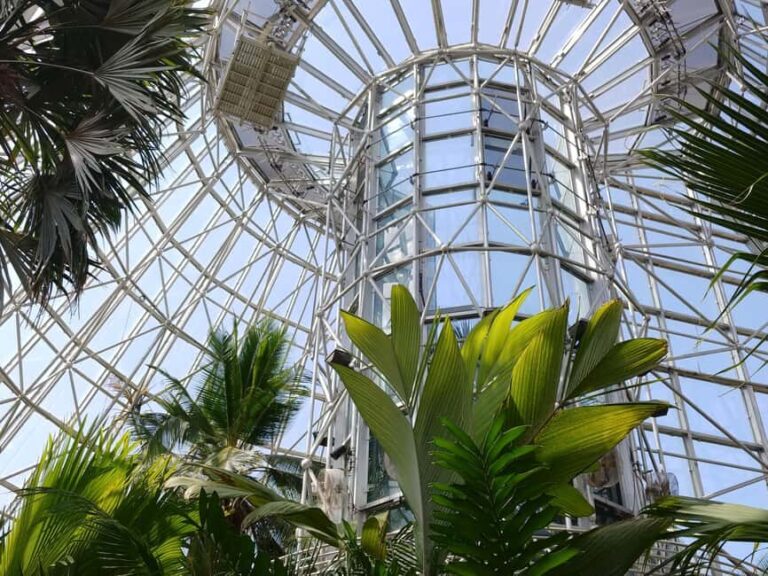 San Antonio: Botanical Garden Admission Ticket - What to Expect During Your Visit