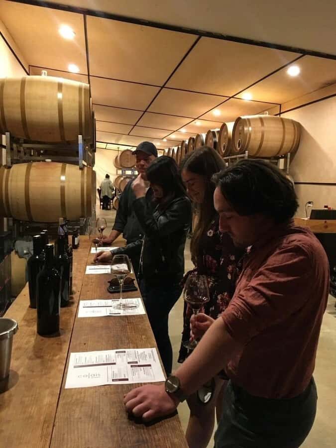 San Antonio: Glass Half Full Wine & Hill Country Tour - Practical Details and What You Should Know