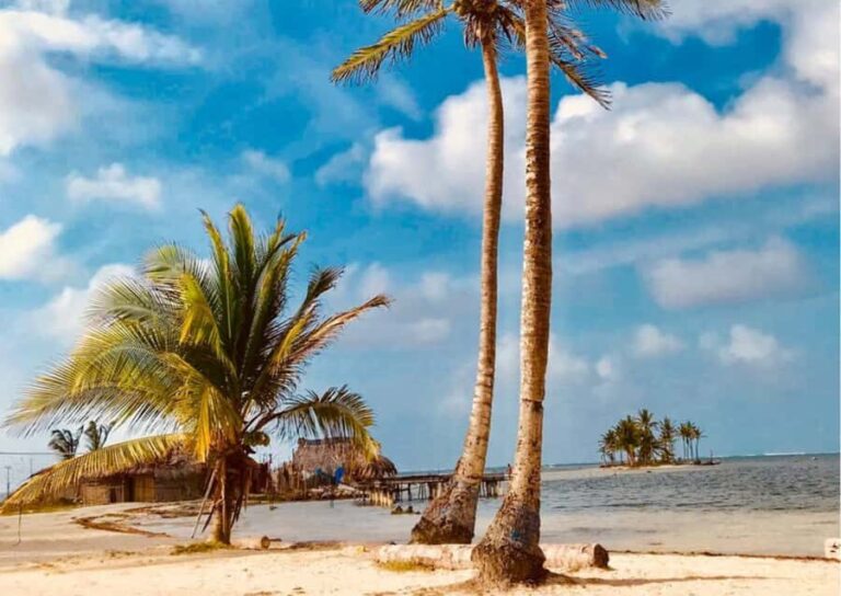 San Blas Day Tour: Explore the Top 3 Islands, From San Blas - Who Will Love This Tour?