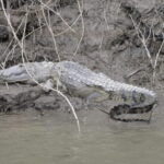 San Cristobal: 2 Days in the Southern Selva Lacandona Tour - The Value of This Tour: What It Means for Travelers