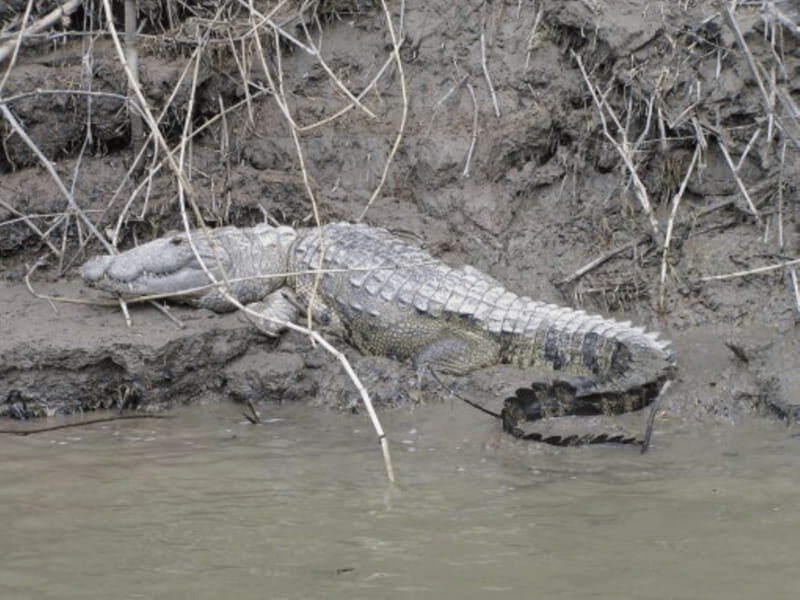 San Cristobal: 2 Days in the Southern Selva Lacandona Tour - The Value of This Tour: What It Means for Travelers