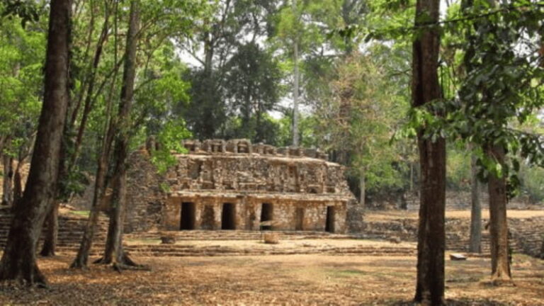 San Cristobal: 3 Days Expedition of North Lacandona Jungle - Is This Tour Worth the Price?