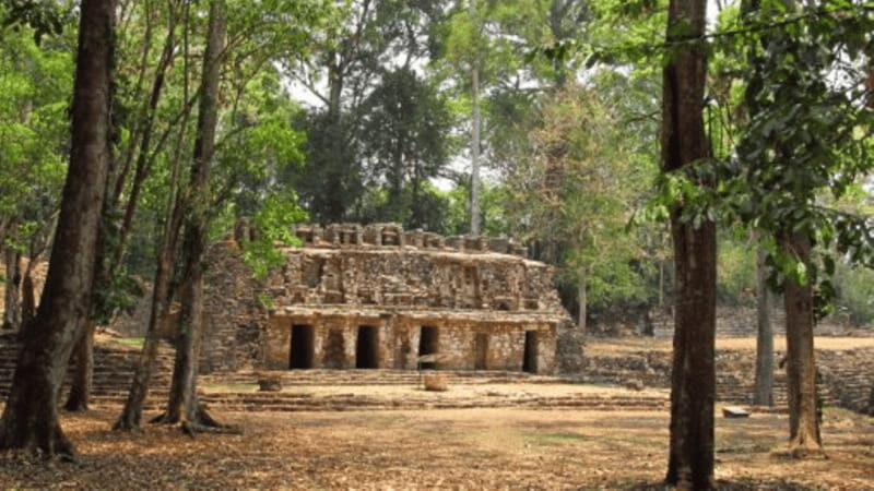 San Cristobal: 3 Days Expedition of North Lacandona Jungle - Is This Tour Worth the Price?