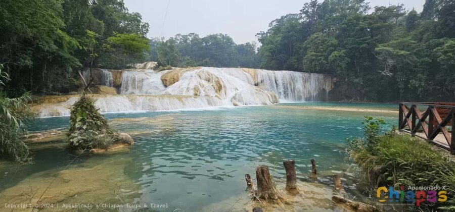 San Cristobal: Agua Azul, Misol Ha & Palenque Experience - The Logistics: What’s Included and What’s Not