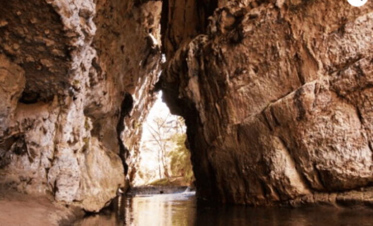 San Cristóbal: Arcotete Ecotourism Park & Rancho Nuevo Caves - Who Should Book This Tour?