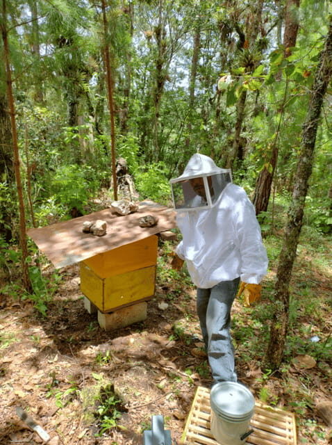 San Cristobal: Huixtan Adventure with Traditional Activities - The Value of This Experience