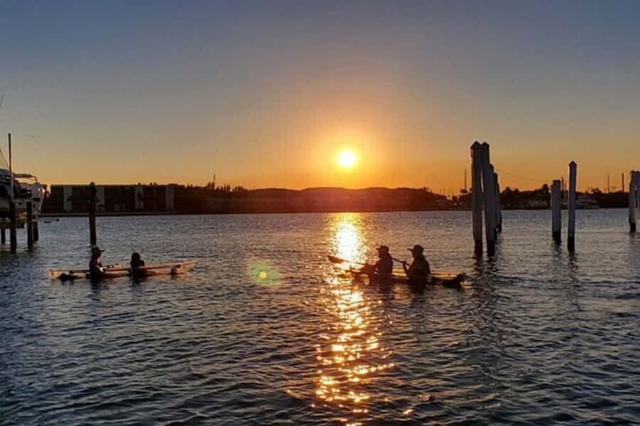 San Diego: 2024 Crystal Clear Kayak Rental - Is This Experience Worth It?