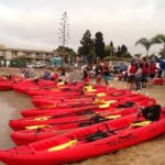 San Diego Bay 1.5-Hour Guided Kayak Tour in Coronado - The Practicalities: What to Know Before You Go
