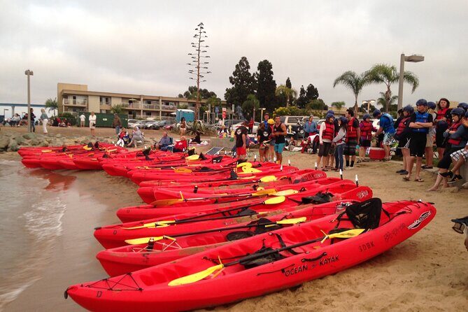 San Diego Bay 1.5-Hour Guided Kayak Tour in Coronado - The Practicalities: What to Know Before You Go