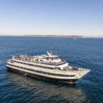 San Diego: City Cruises Whale and Dolphin Watching Cruise - What’s Included and How It Works