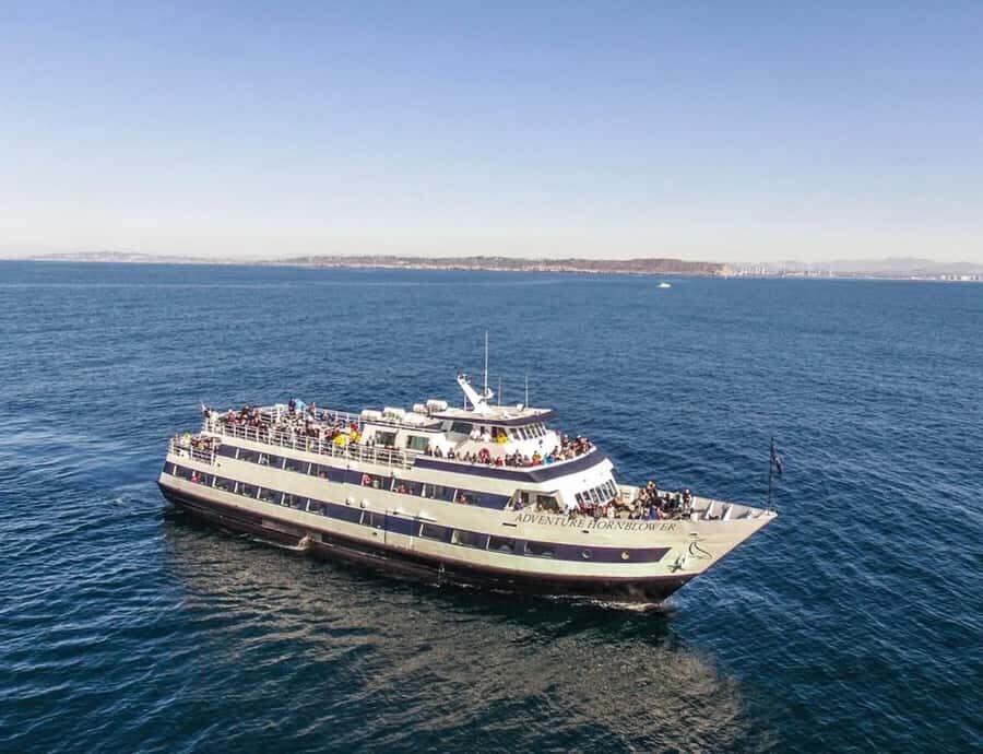 San Diego: City Cruises Whale and Dolphin Watching Cruise - What’s Included and How It Works