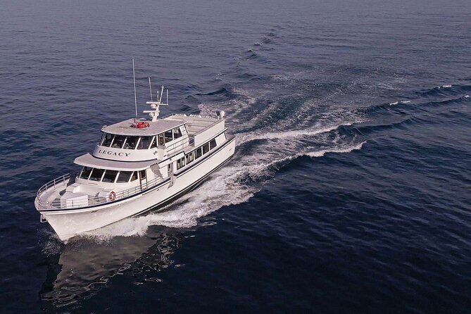 San Diego Dolphin Watch Sunset Cruise Mission Bay on the Legacy - Who Should Consider This Tour?