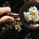 San Diego: Guided Natural History Walk - Detailed Breakdown of the Tour