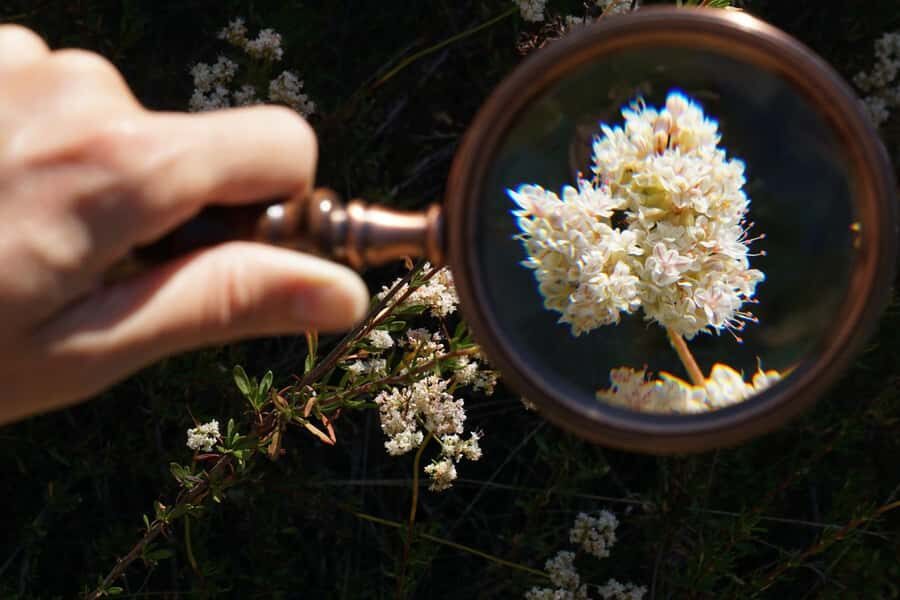 San Diego: Guided Natural History Walk - Detailed Breakdown of the Tour