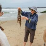 San Diego Photo Tour with a Private Photographer - A Deep Dive into the Experience