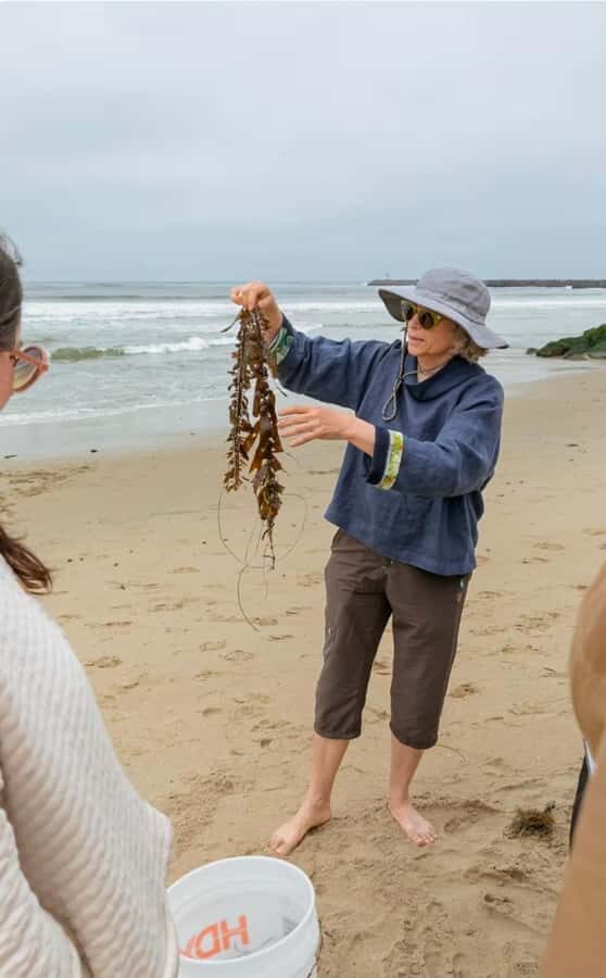 San Diego Photo Tour with a Private Photographer - A Deep Dive into the Experience