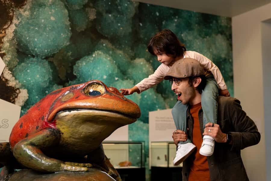 San Diego: San Diego Natural History Museum Ticket - The Practicalities: Visiting and Navigating