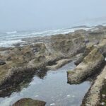 San Diego Tide Pool Tour - Scenic Highlights Along the Coast
