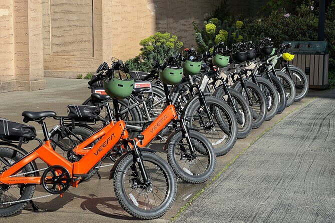 San Francisco by Electric Bike - The Final Word: Who Should Consider This Tour?
