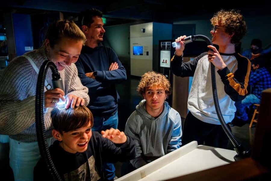 San Francisco Exploratorium Ticket: 700+ Hands-On Exhibits - Is It Worth the Price?