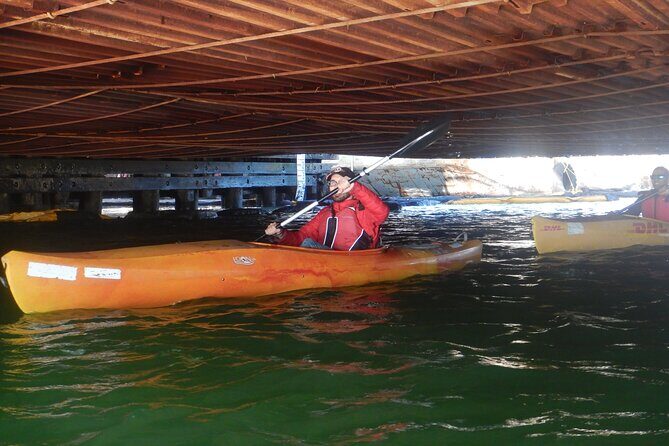 San Francisco Kayak Trip- 1 Hour - Authentic Experiences Shared by Participants