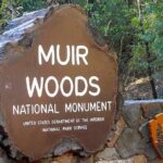 San Francisco & Muir Woods Full Day Small Group Private Tour - Who Should Consider This Tour?