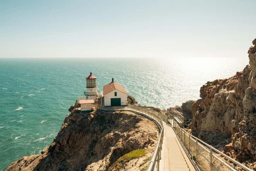 San Francisco: Muir Woods, Point Reyes, and Meadery Tour - What Makes This Tour Stand Out?