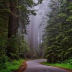San Francisco: Muir Woods Private Trip - The Itinerary: What’s Included and What’s Not
