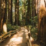 San Francisco Muir Woods Tour and Bike The Golden Gate Bridge - Frequently Asked Questions