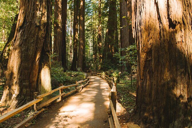 San Francisco Muir Woods Tour and Bike The Golden Gate Bridge - Frequently Asked Questions