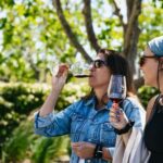 San Francisco: Napa and Sonoma Valley Wine Tour - Discovering the Wineries and What to Expect
