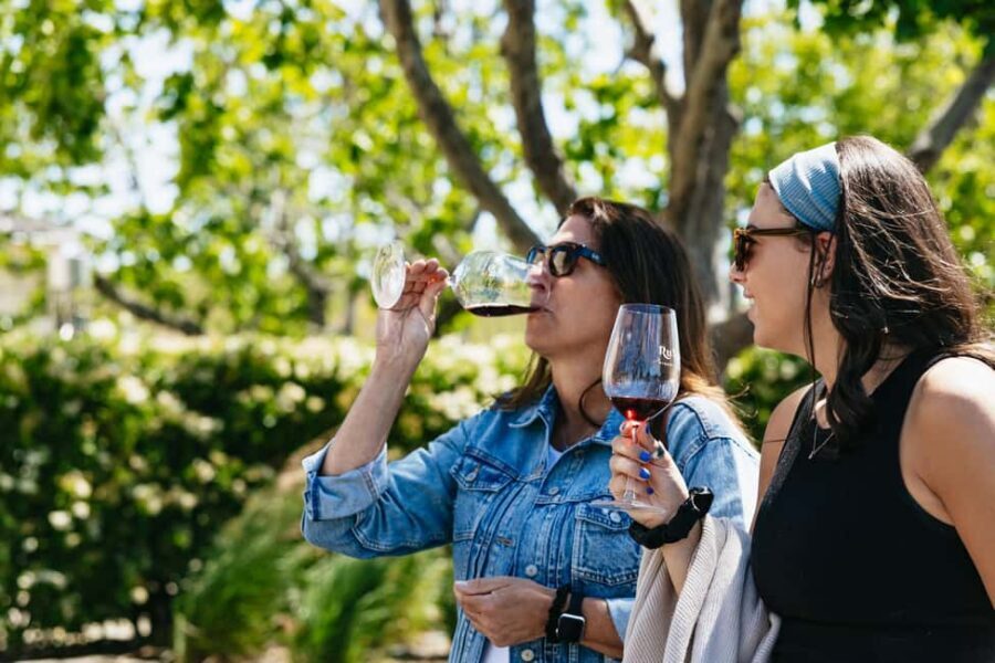 San Francisco: Napa and Sonoma Valley Wine Tour - Discovering the Wineries and What to Expect