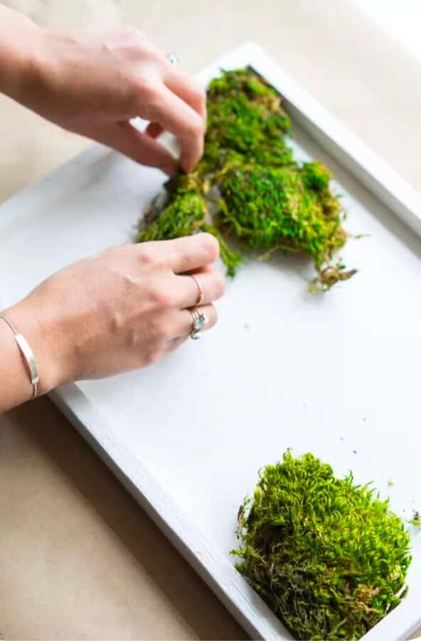 San Francisco Photo Tour with a Private Photographer - What to Expect During Your Photo Shoot