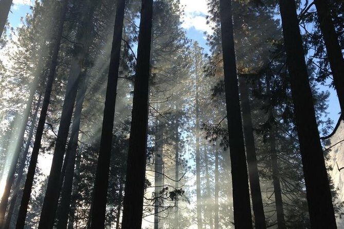 San Francisco Private Tour: Hidden Gems & Highlights by a Local - What Makes This Tour Stand Out?