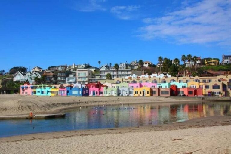 San Francisco: Redwood Forest & Santa Cruz Harbor 1-Day Trip - What’s Included and What’s Not