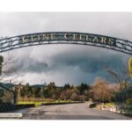 San Francisco to Sonoma Private 6 Hour Wine Tour - up to 4 guests - Practical Insights and What to Expect