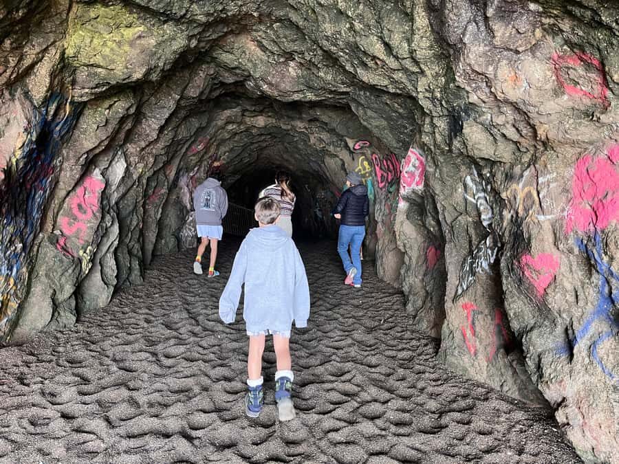 San Francisco: Wild Coast Tour - Practical Details and What to Expect