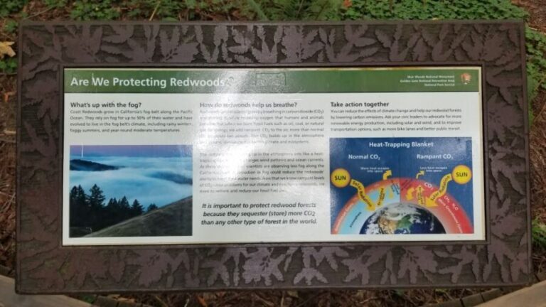 San Fransico: Muir Woods & Marin Headlands Private Tour - The Value of the Experience