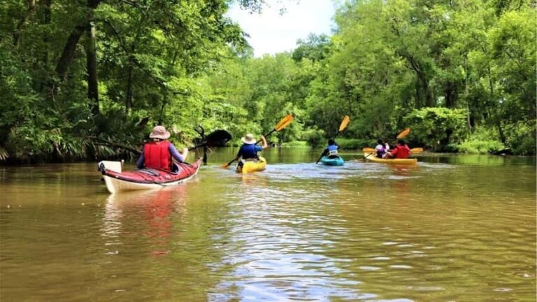 San Jacinto River | Stream Geomorphology Field Trip - What Makes This Trip Special?