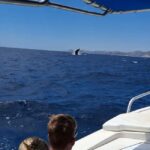 San José del Cabo: Ocean Safari - The Itinerary in Detail