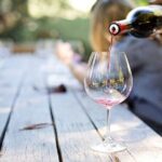 San Jose: Exclusive Muir Woods and Wine Country Day Tour - Wine Tasting in Napa: Elegance Among the Vineyards