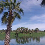 SAN JOSE GOLDEN - Who Will Love This Tour?