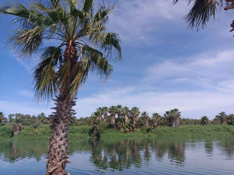 SAN JOSE GOLDEN - Who Will Love This Tour?