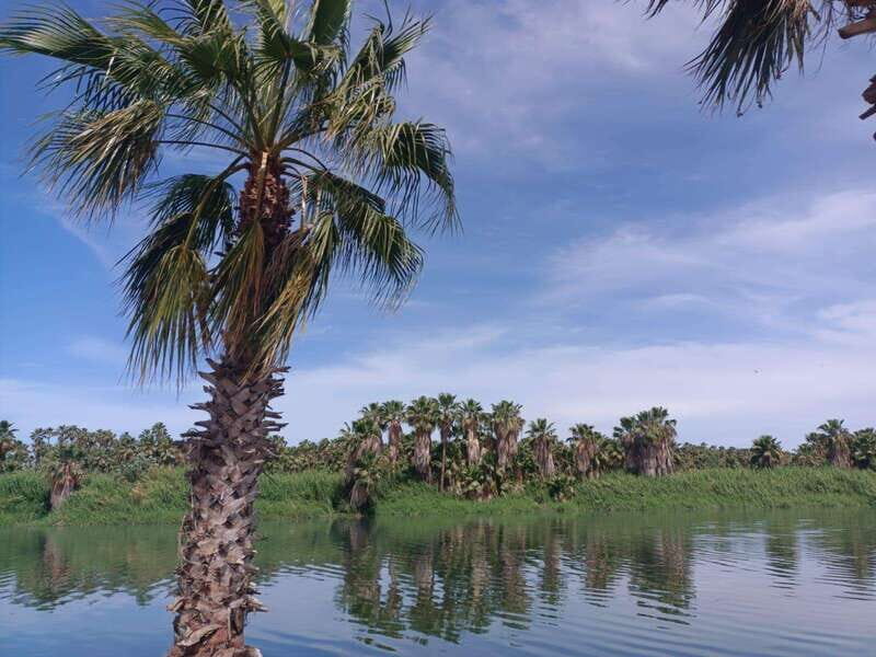 SAN JOSE GOLDEN - Who Will Love This Tour?