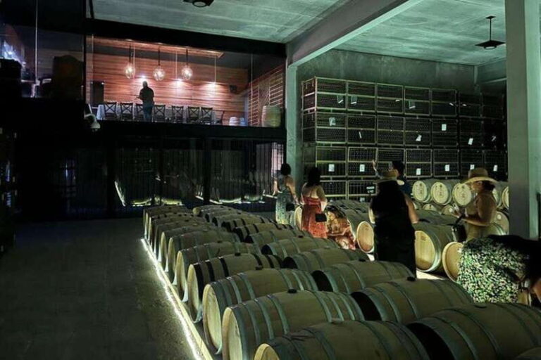 San Miguel de Allende: 3 or 5-Course Menu & Wine Pairing - What Travelers Say